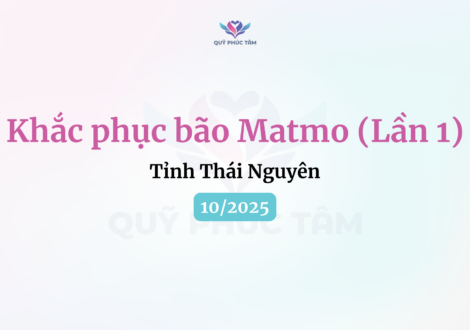 khắc phục hậu quả bão matmo