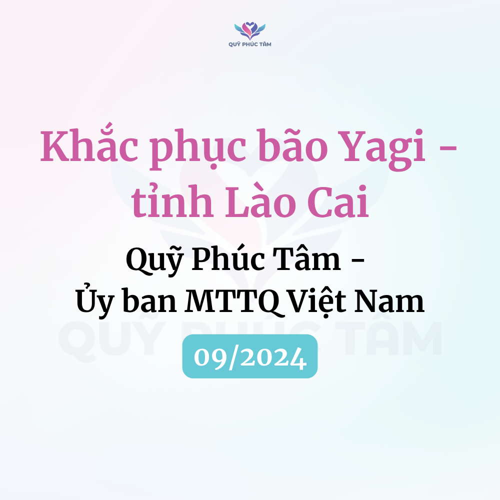 khắc phục hậu quả bão yagi