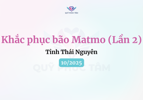phục hồi sau bão matmo